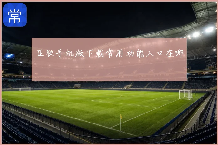 亚联手机版下载常用功能入口在哪